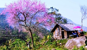 Tour Vĩnh Phúc - Sapa - Vĩnh Phúc 3N2Đ